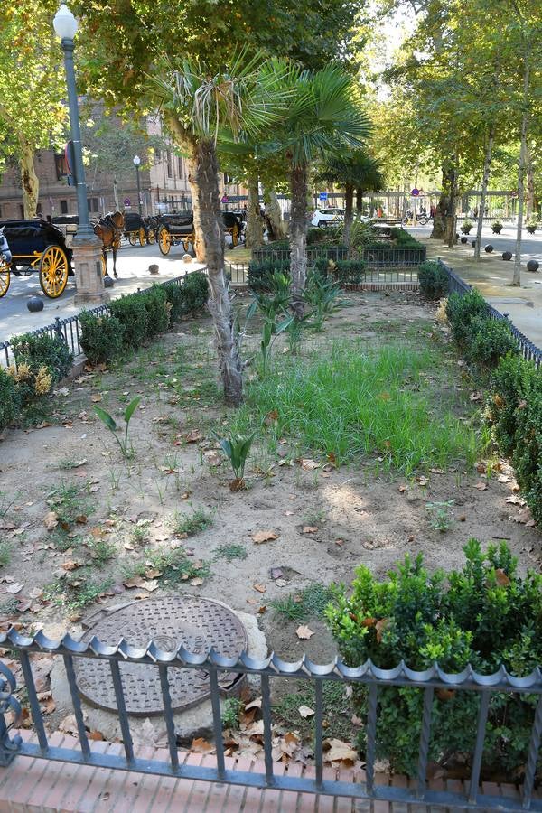 El deterioro del parque de María Luisa, en imágenes (I)