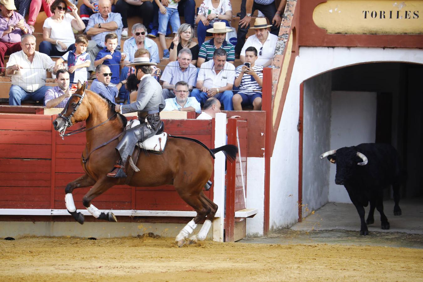 La corrida de rejones en Montoro, en imágenes