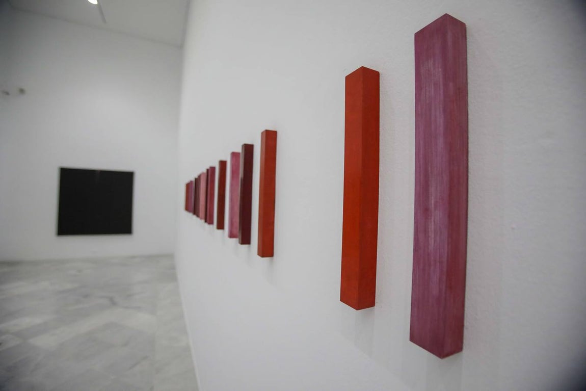 Retrospectiva de Juan Suárez en el CAAC de Sevilla