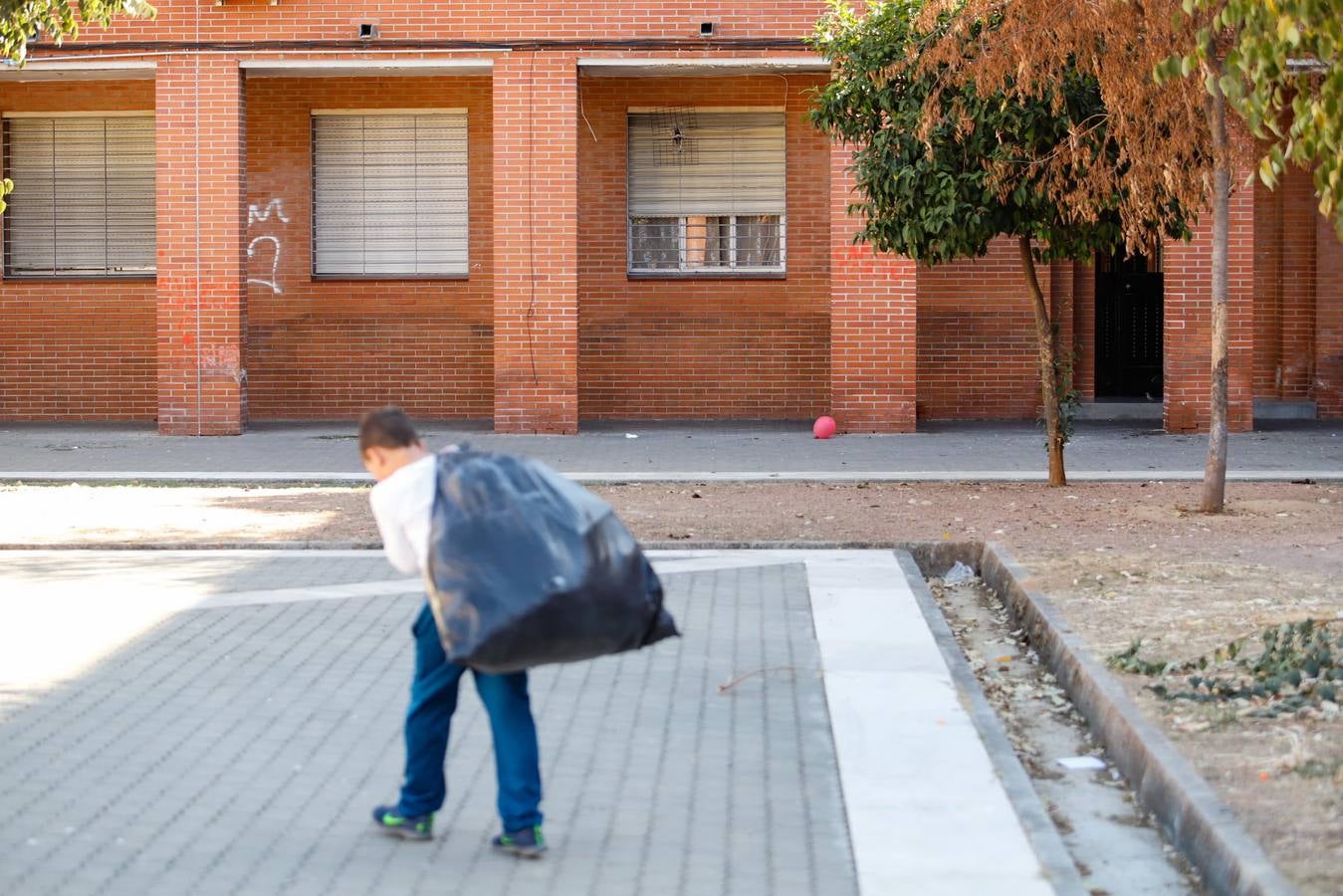 En imágenes, la suciedad que habita en algunas zonas de Las Moreras