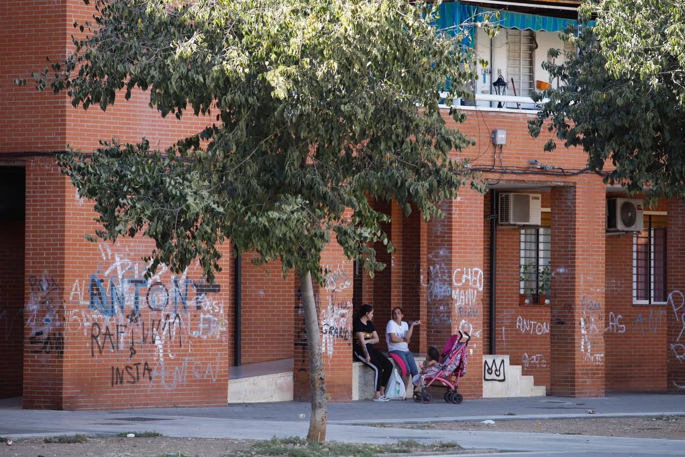 En imágenes, la suciedad que habita en algunas zonas de Las Moreras