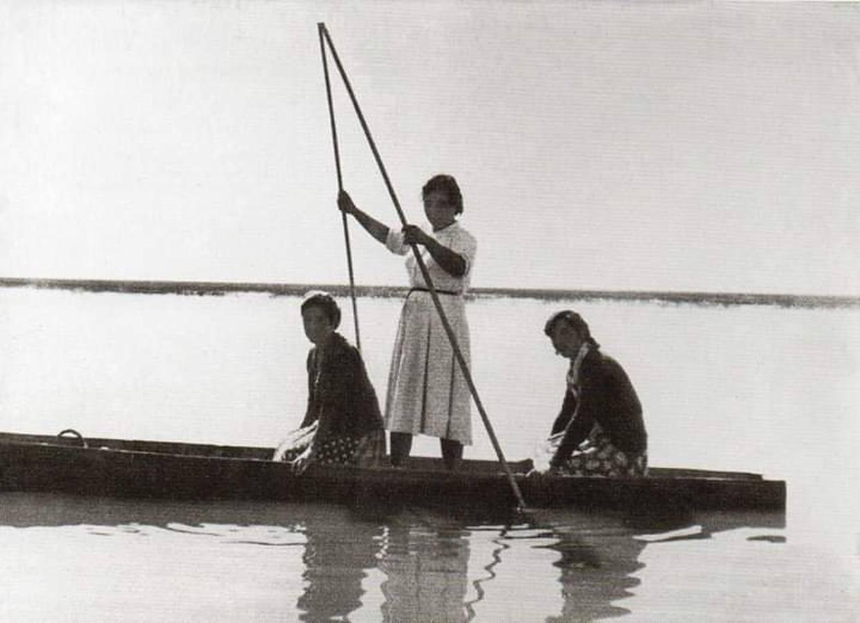 Doñana cumple cincuenta años