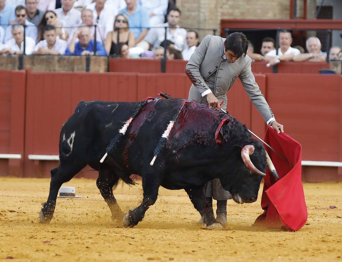 Miguel Ángel Perera