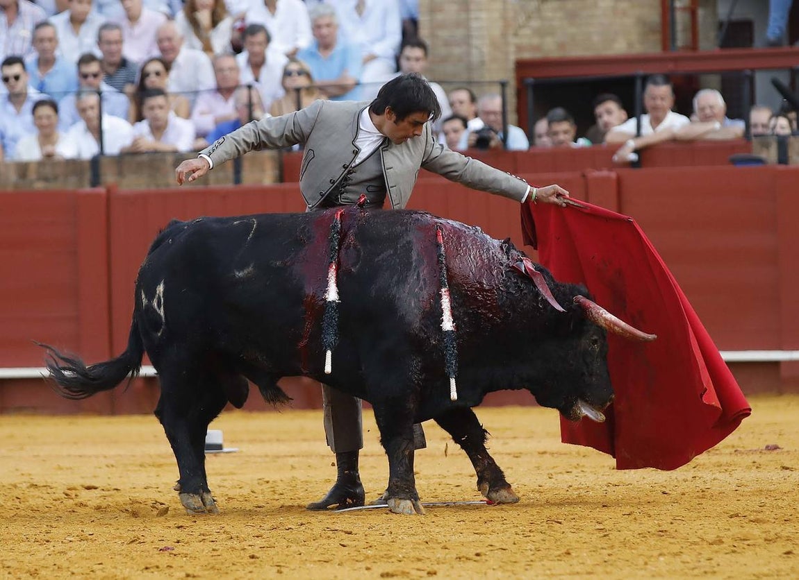 Miguel Ángel Perera