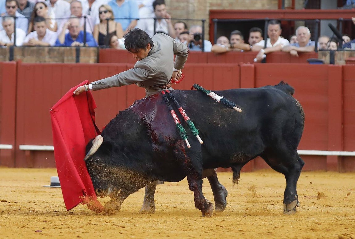 Miguel Ángel Perera