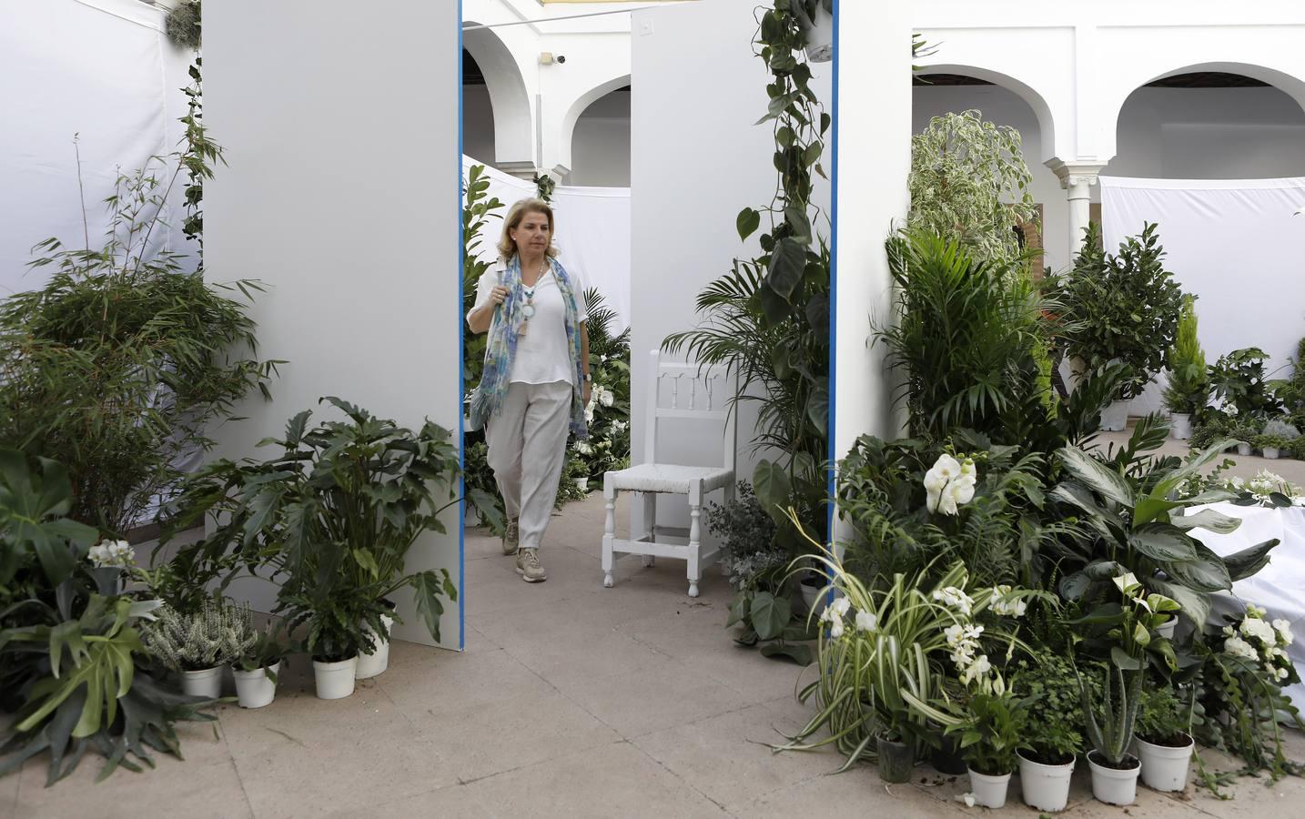 Las instalaciones del Festival Flora  2019, en imágenes