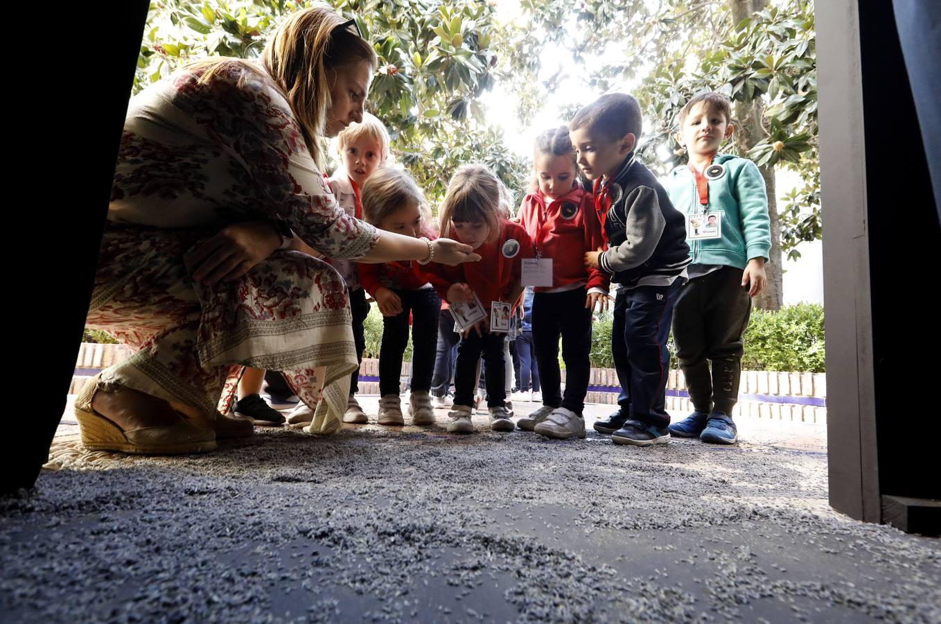 Las instalaciones del Festival Flora  2019, en imágenes