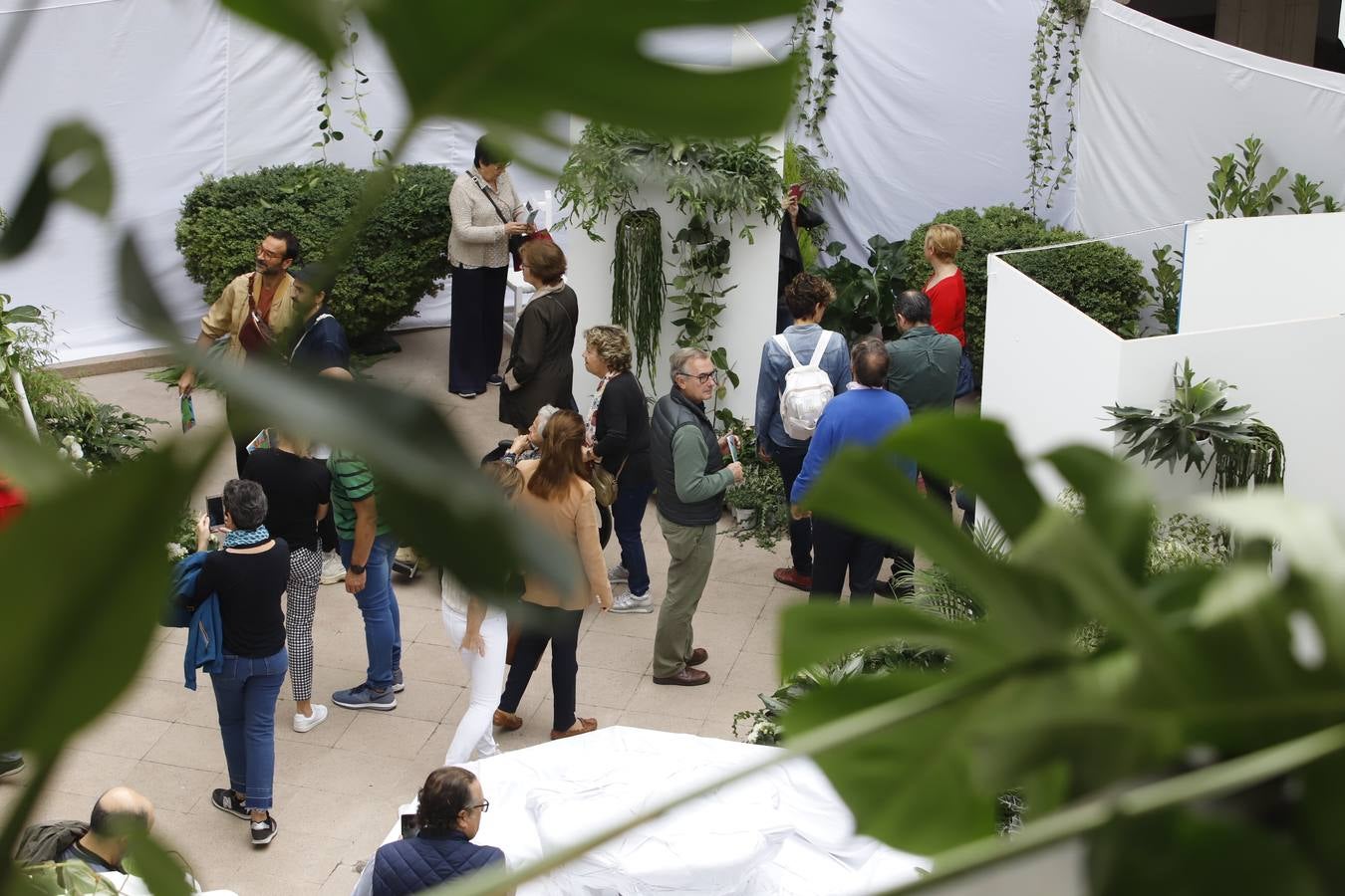 En imágenes, el ambiente del Festival Flora 2019 en Córdoba