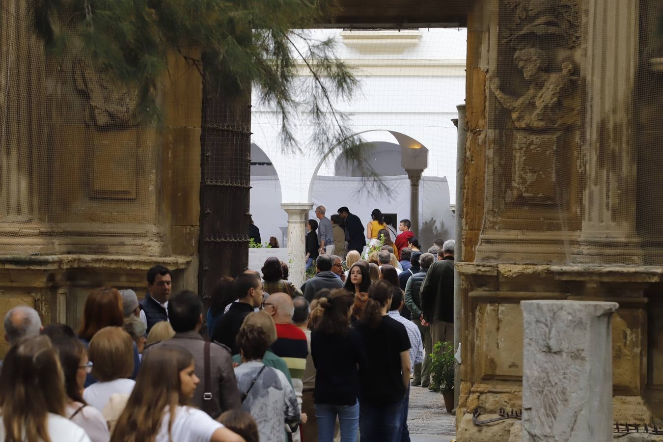 En imágenes, el ambiente del Festival Flora 2019 en Córdoba