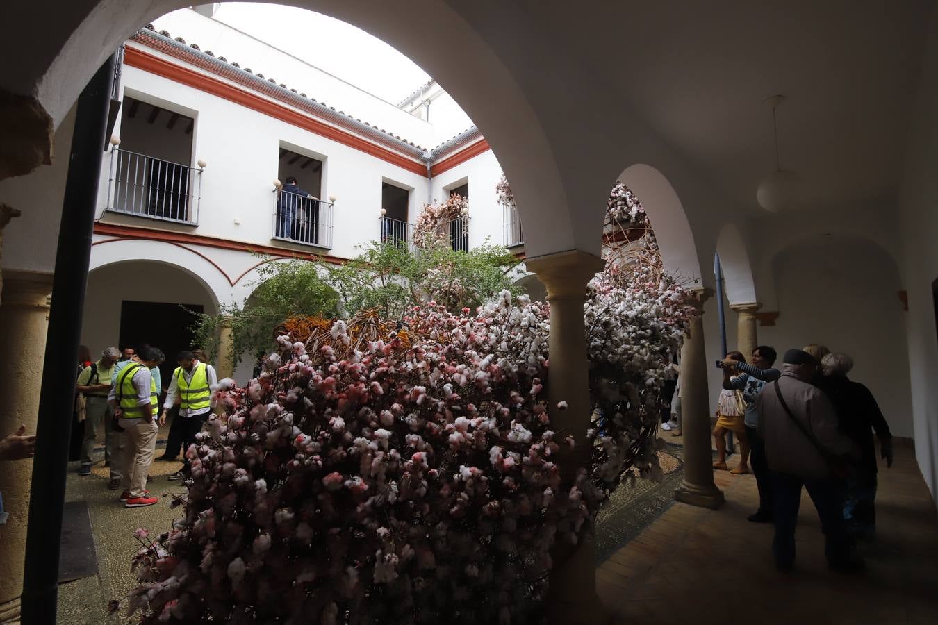 En imágenes, el ambiente del Festival Flora 2019 en Córdoba