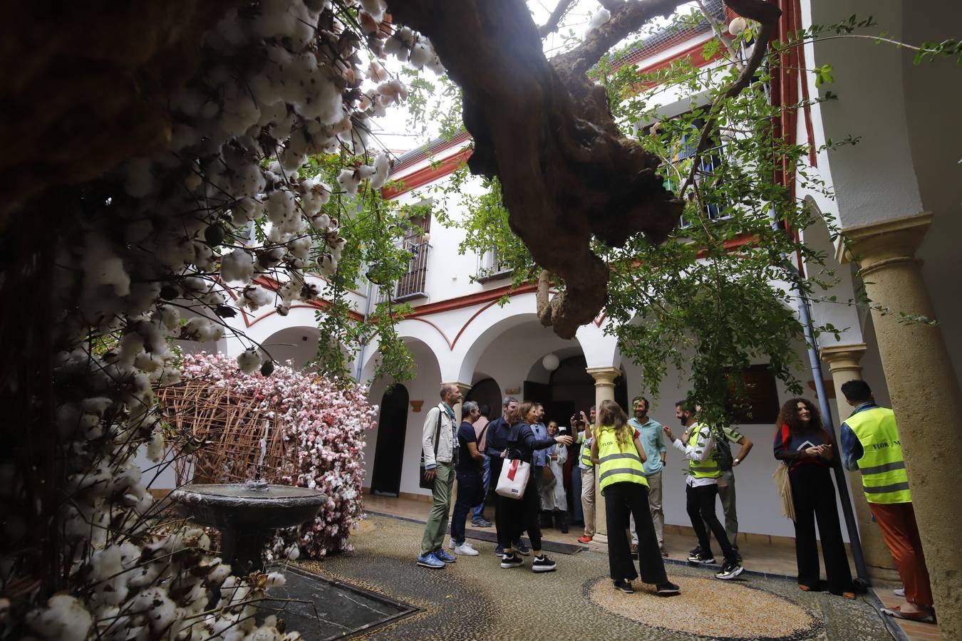 En imágenes, el ambiente del Festival Flora 2019 en Córdoba