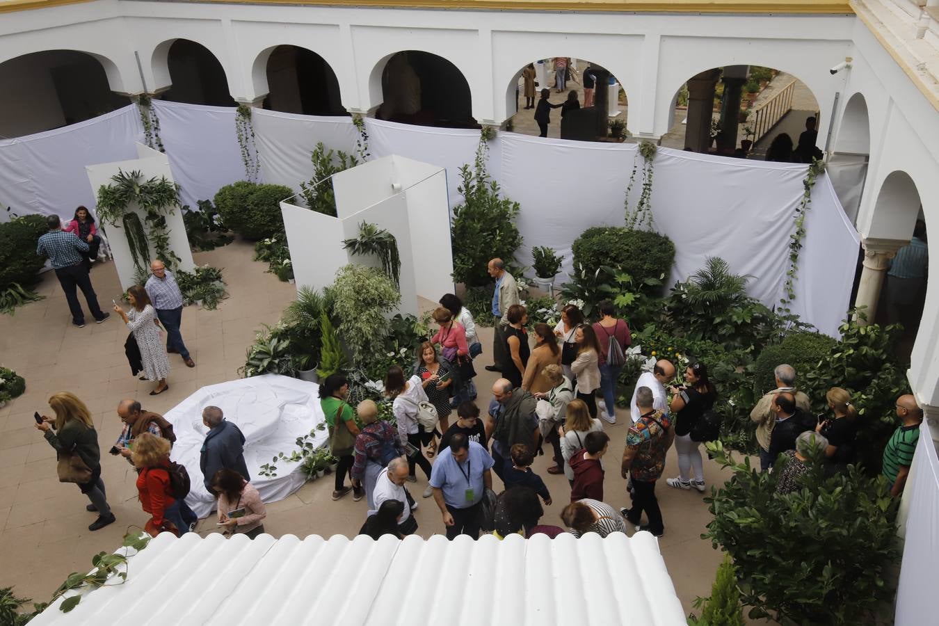 En imágenes, el ambiente del Festival Flora 2019 en Córdoba