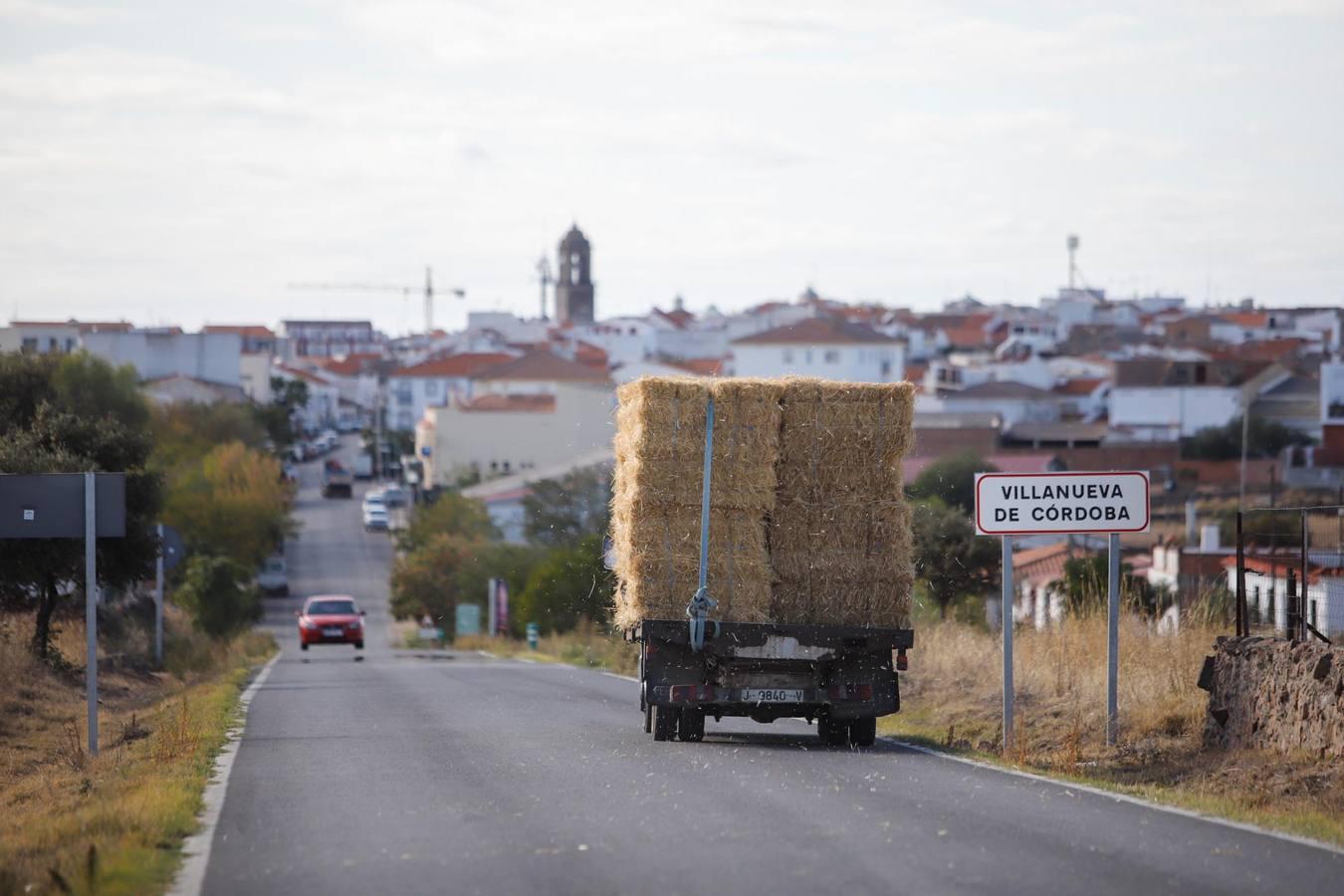 La Córdoba de la «España vacía», en imágenes