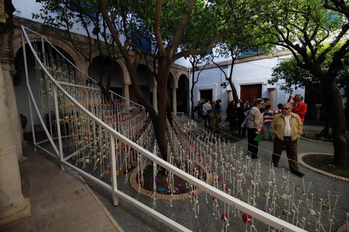 Las visitas a Flora en Córdoba, en imágenes