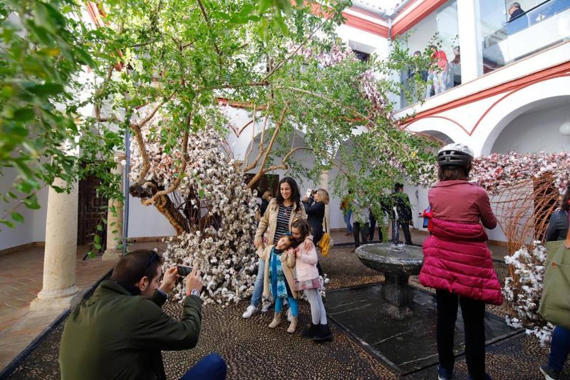 Las visitas a Flora en Córdoba, en imágenes