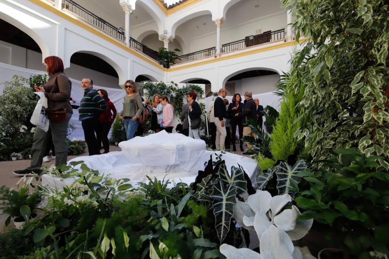 Las visitas a Flora en Córdoba, en imágenes