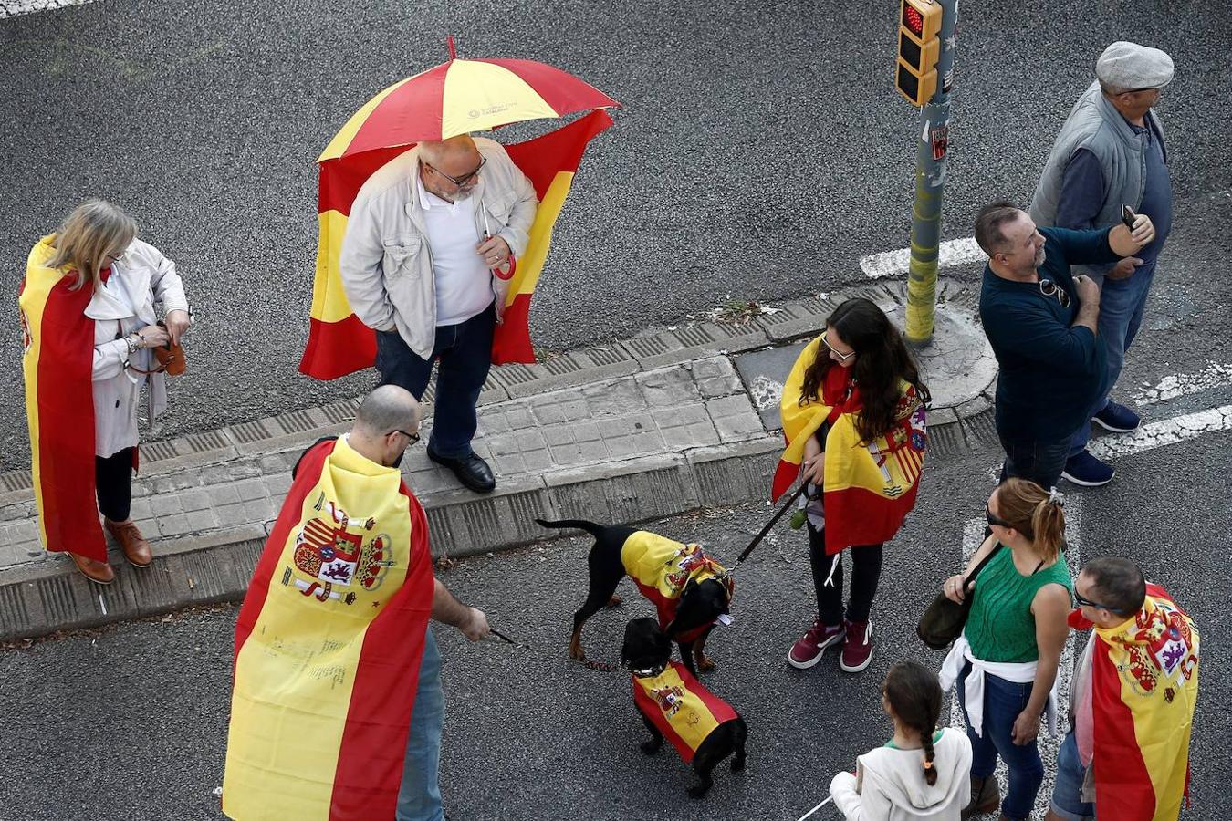 Miles de banderas de España han llenado el Paseo de Gracia de Barcelona. 