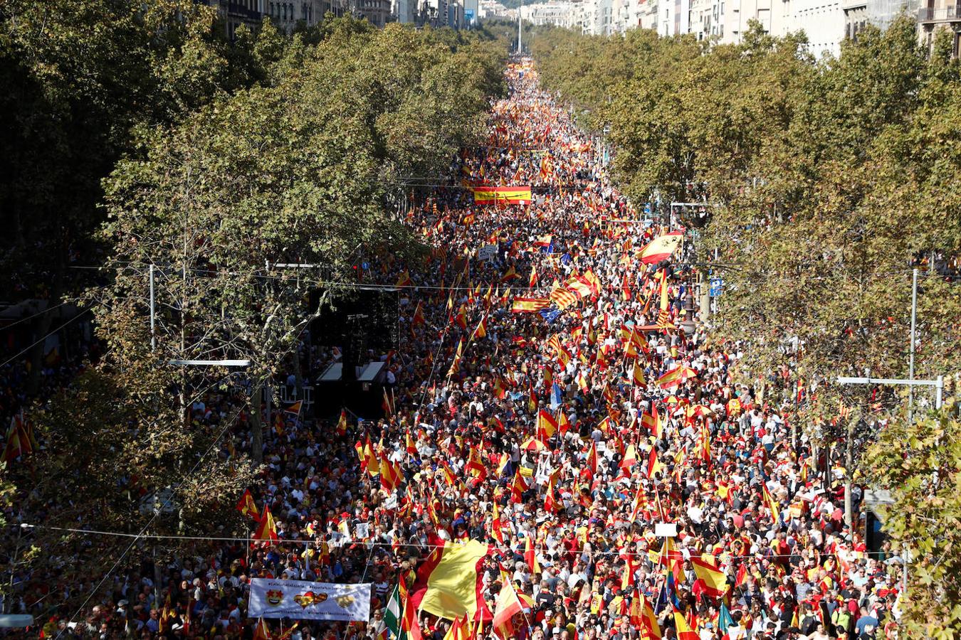 Miles de banderas de España han llenado el Paseo de Gracia de Barcelona. 