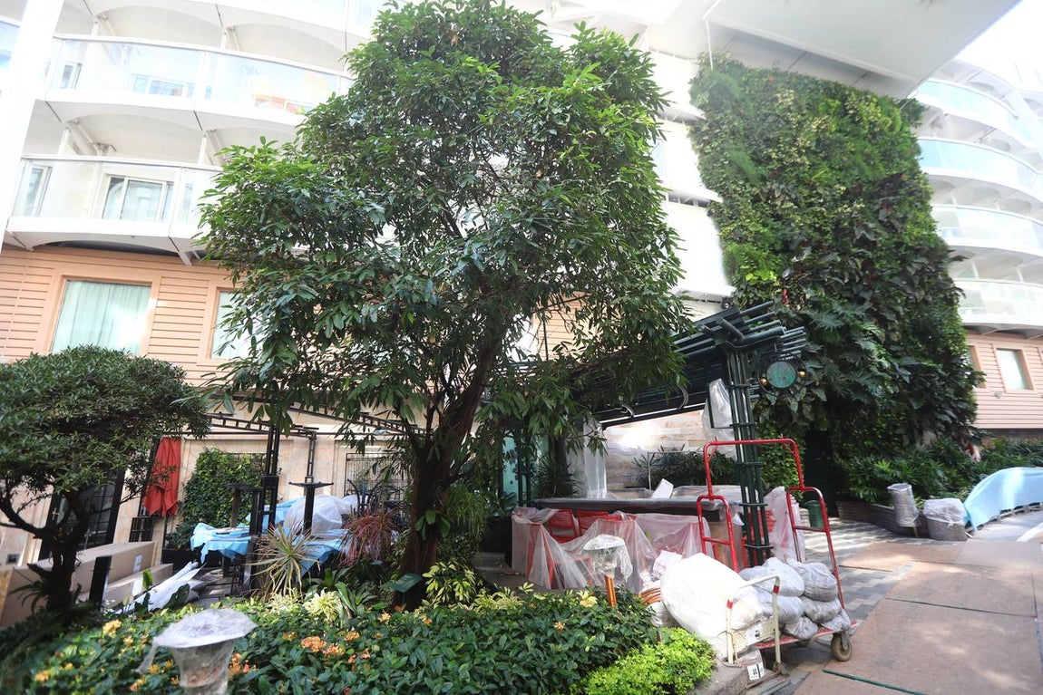 Las primeras imágenes de la reparación del crucero Oasis, de Royal Caribbean