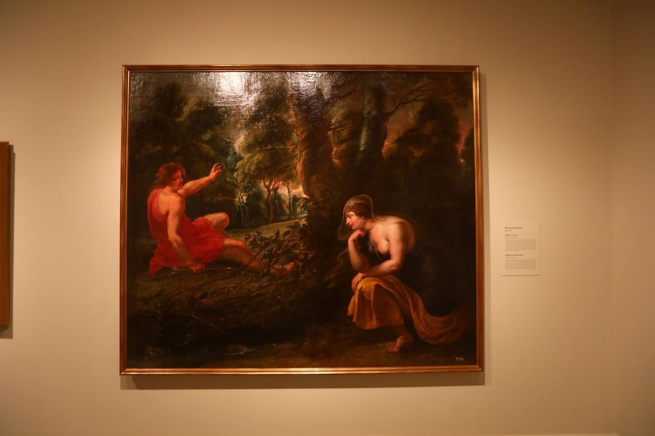 En imágenes, todas las obras de la gran exposición Dioses del Prado en Cádiz