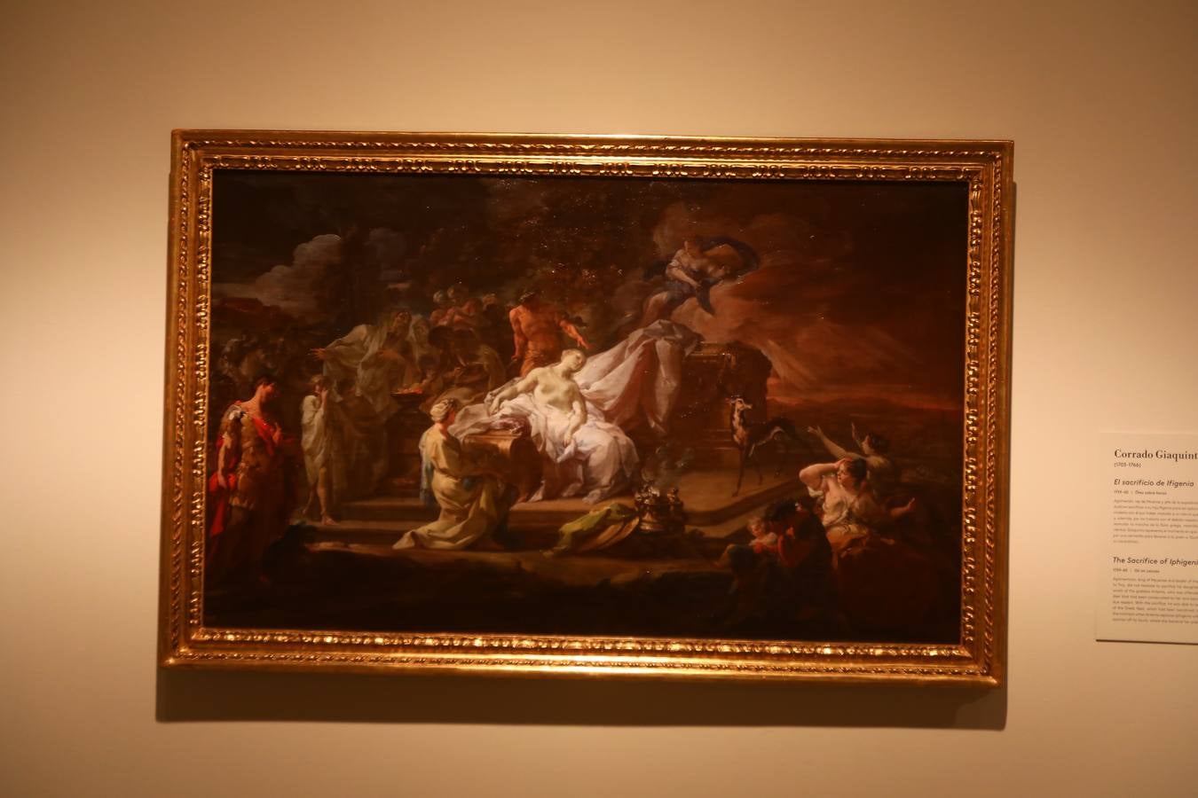 En imágenes, todas las obras de la gran exposición Dioses del Prado en Cádiz