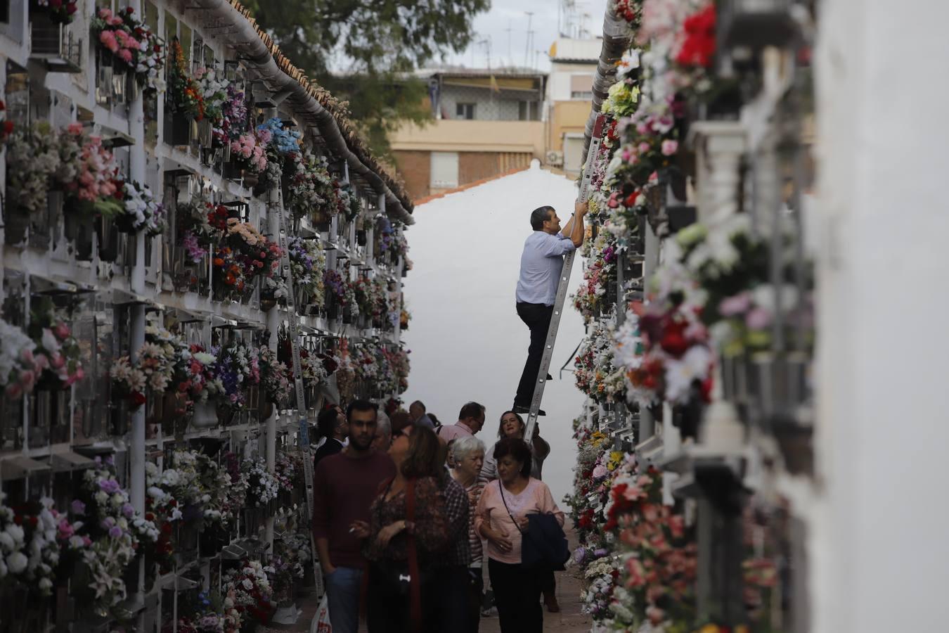 Los cementerios de Córdoba, en imágenes