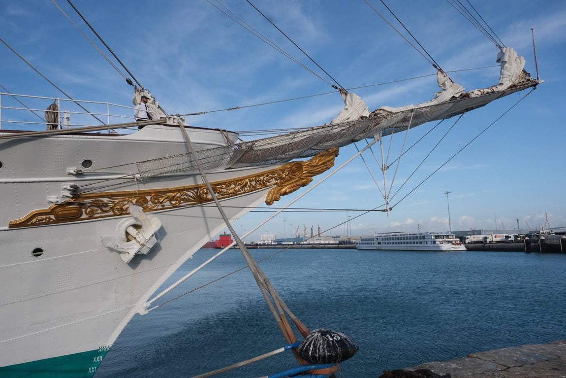 FOTOS: Colas y gran expectación para visitar el Juan Sebastián de Elcano en Cádiz