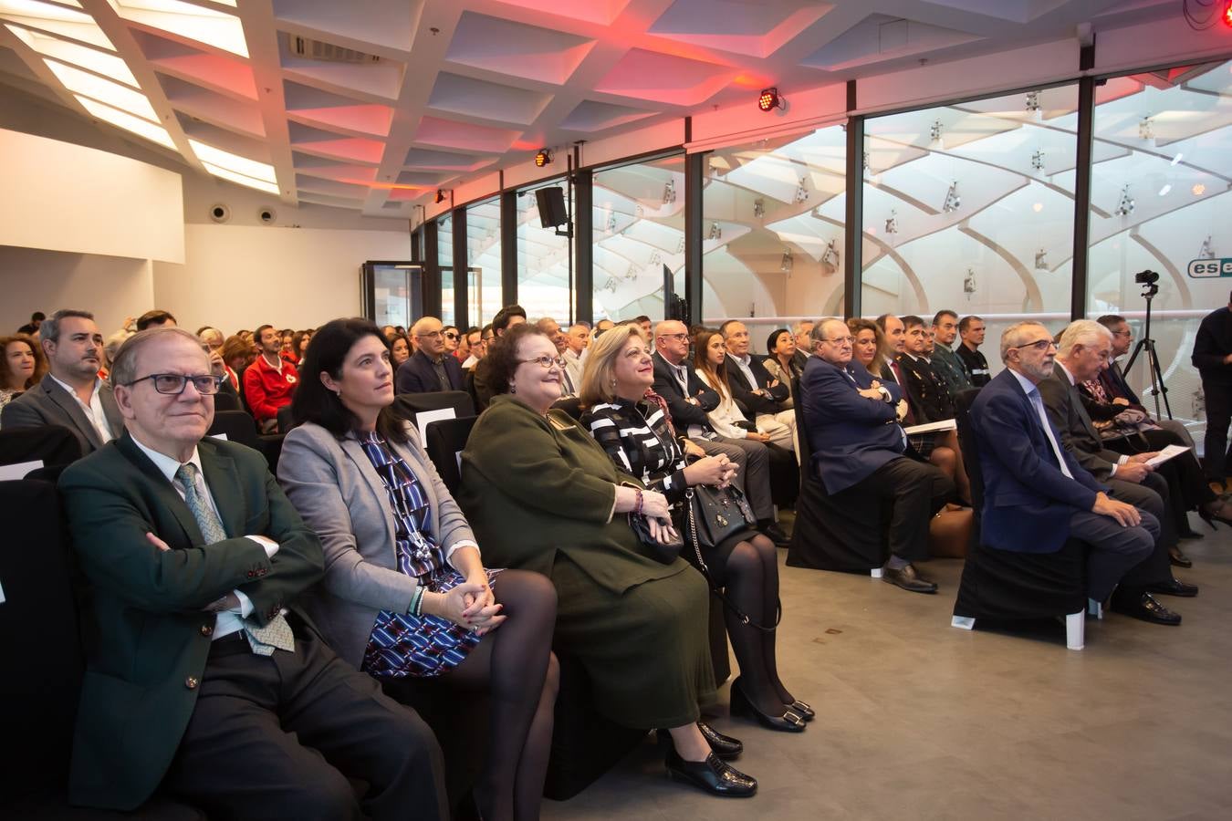 Entrega de los Premios Voluntariado 2019 de la Cruz Roja, en imágenes