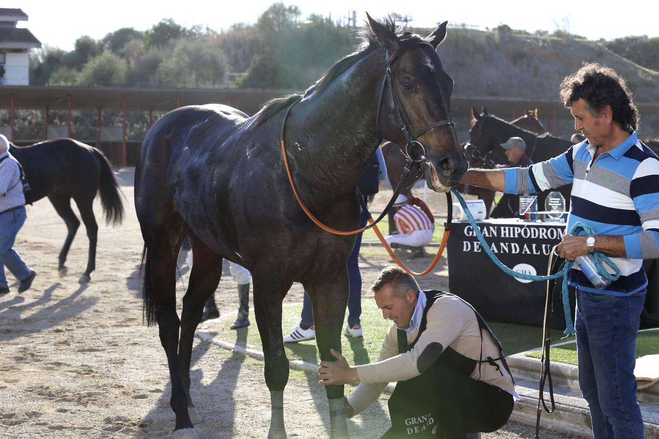 Comienza la temporada en el hipódromo de Dos Hermanas