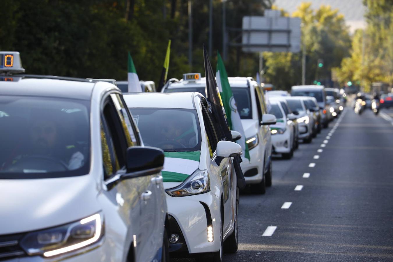 La protesta de los taxistas en Córdoba, en imágenes