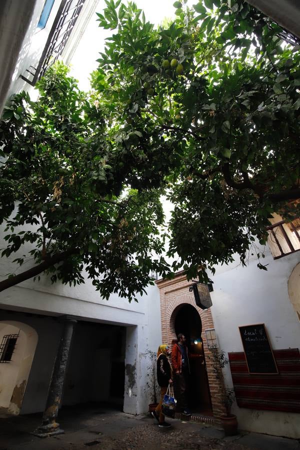 En imágenes, un paseo por la calleja de La Hoguera de Córdoba