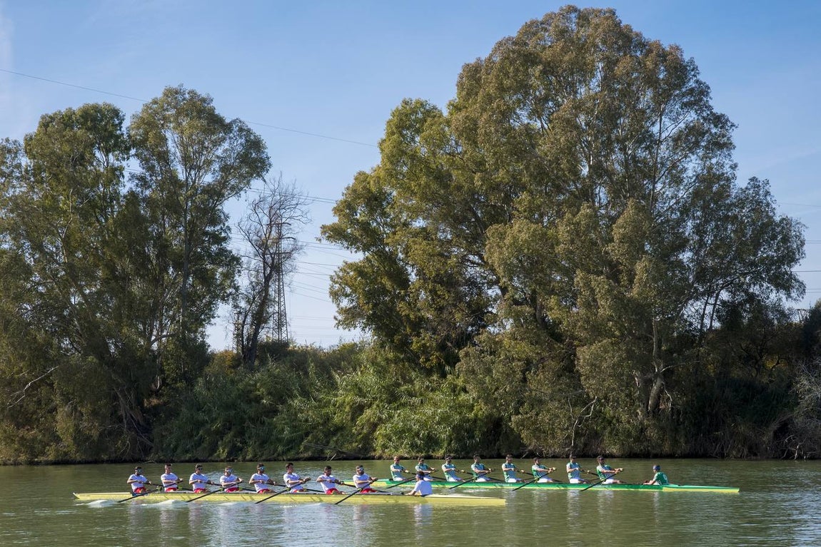Espectaculares imágenes de la Regata Sevilla-Betis