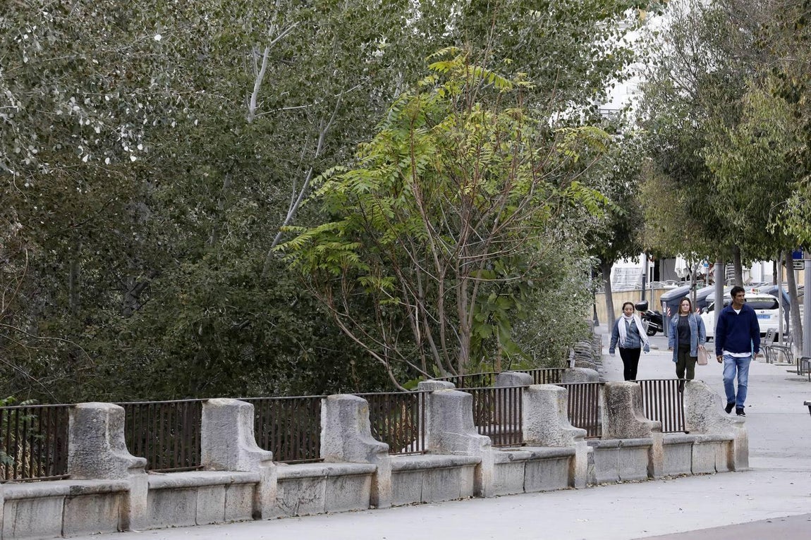 El lamentable estado del río en Córdoba, en imágenes