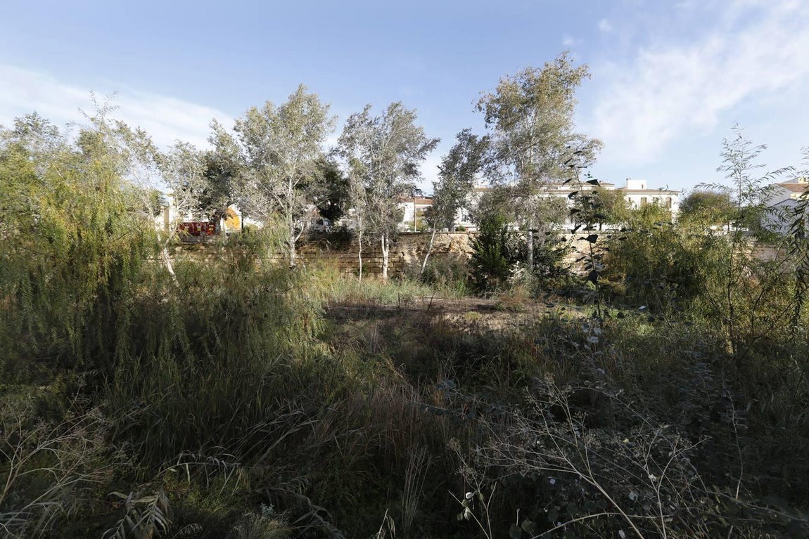 El lamentable estado del río en Córdoba, en imágenes