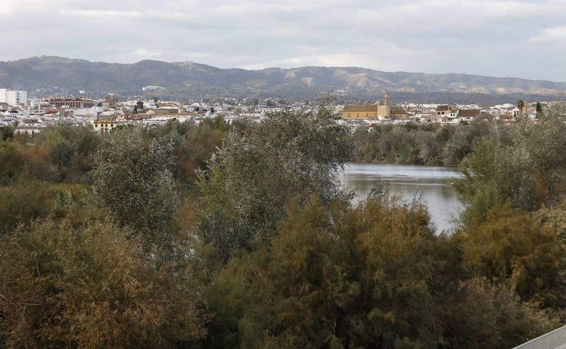 El lamentable estado del río en Córdoba, en imágenes