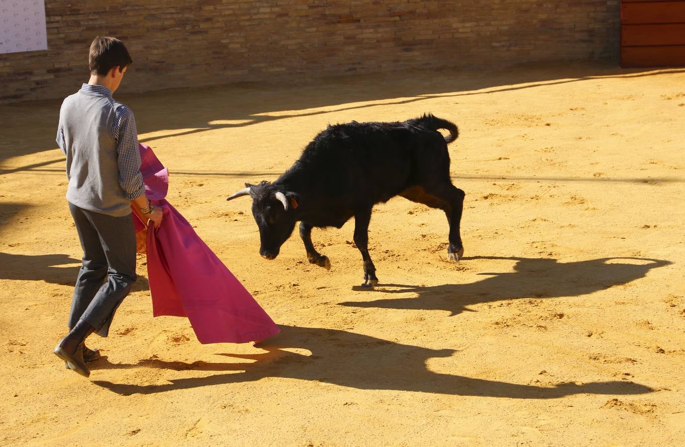 La Escuela Taurina de Sevilla celebra sus bodas de plata