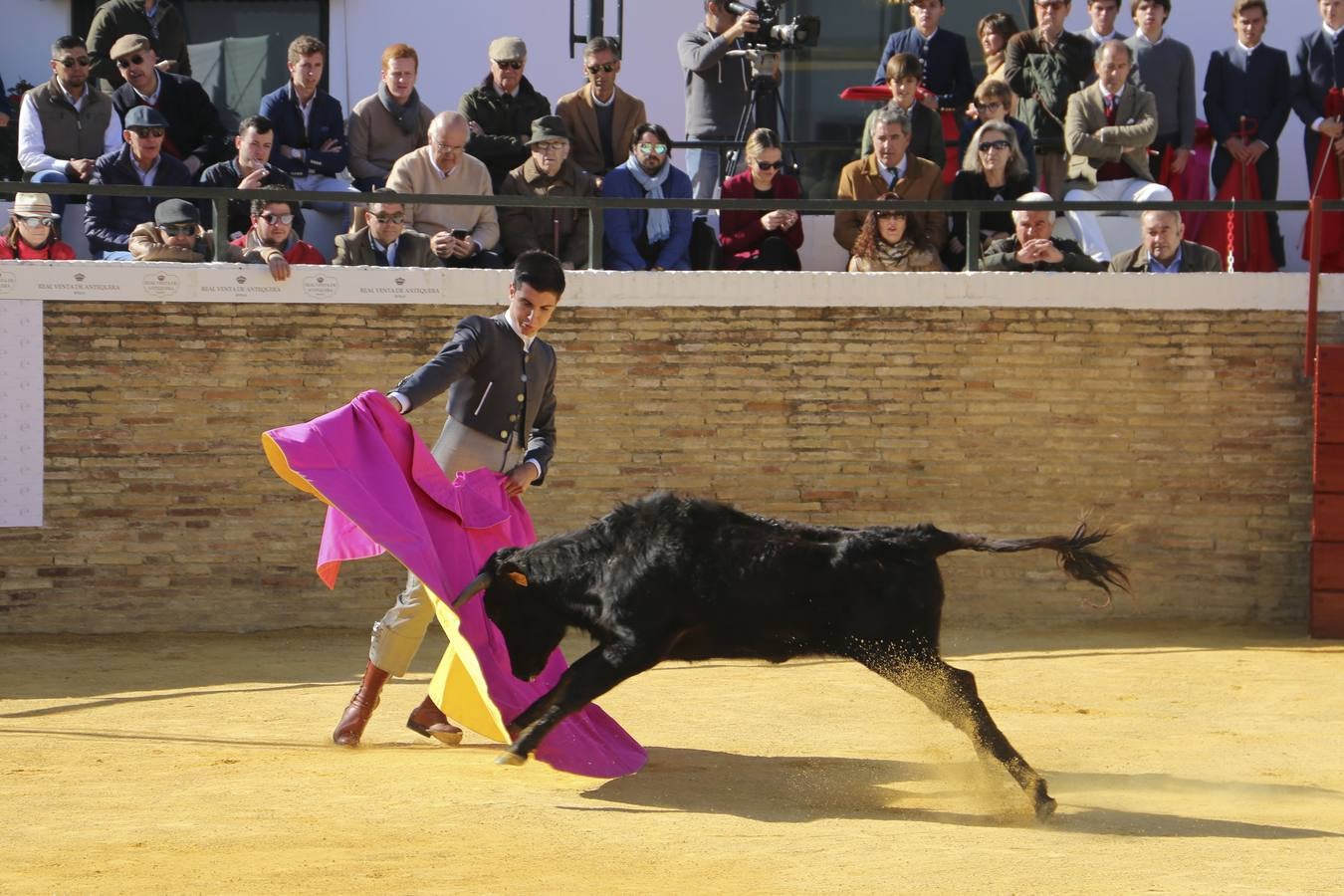 La Escuela Taurina de Sevilla celebra sus bodas de plata