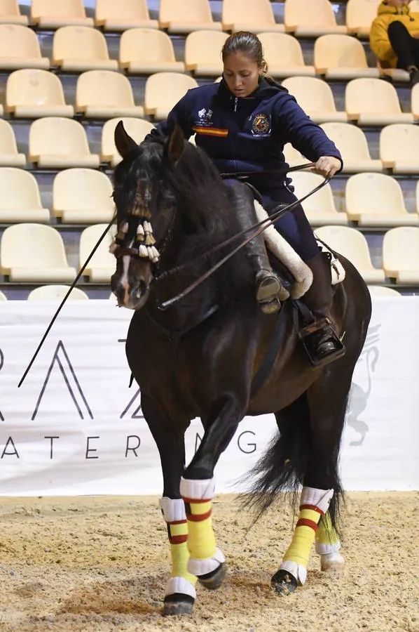 El campeonato del mundo del caballo de Pura Raza Española en SICAB 2019 (II)