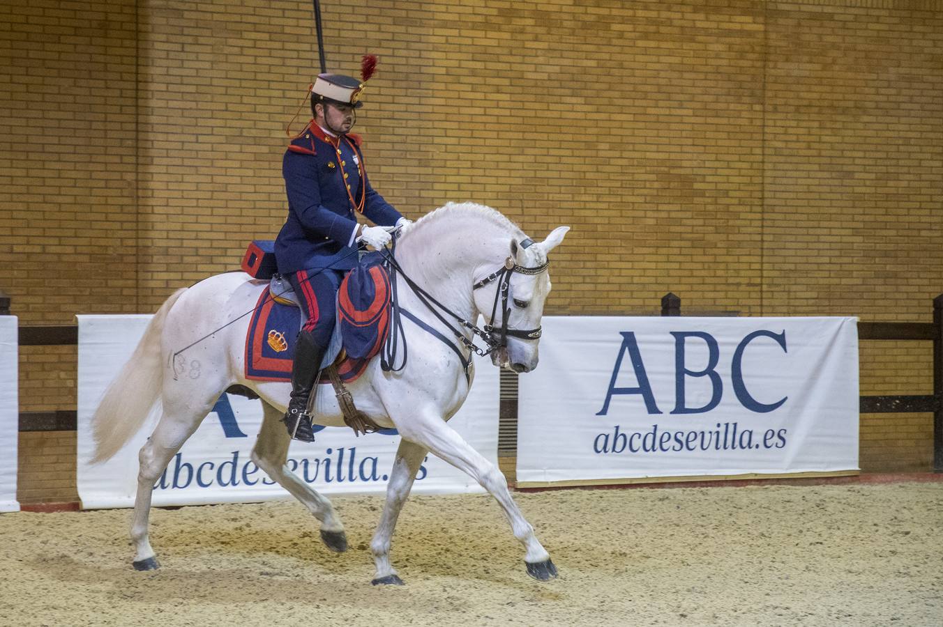 El campeonato del mundo del caballo de Pura Raza Española en SICAB 2019 (II)