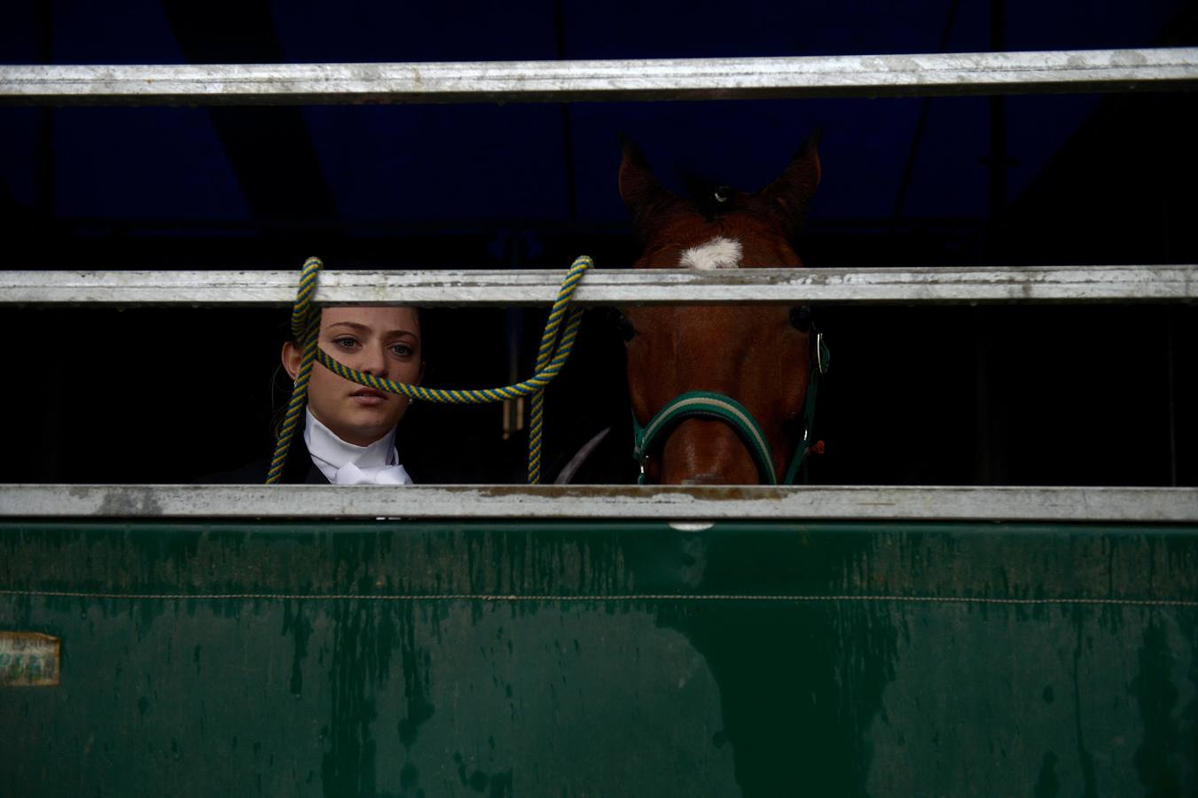 El campeonato del mundo del caballo de Pura Raza Española en SICAB 2019 (I)