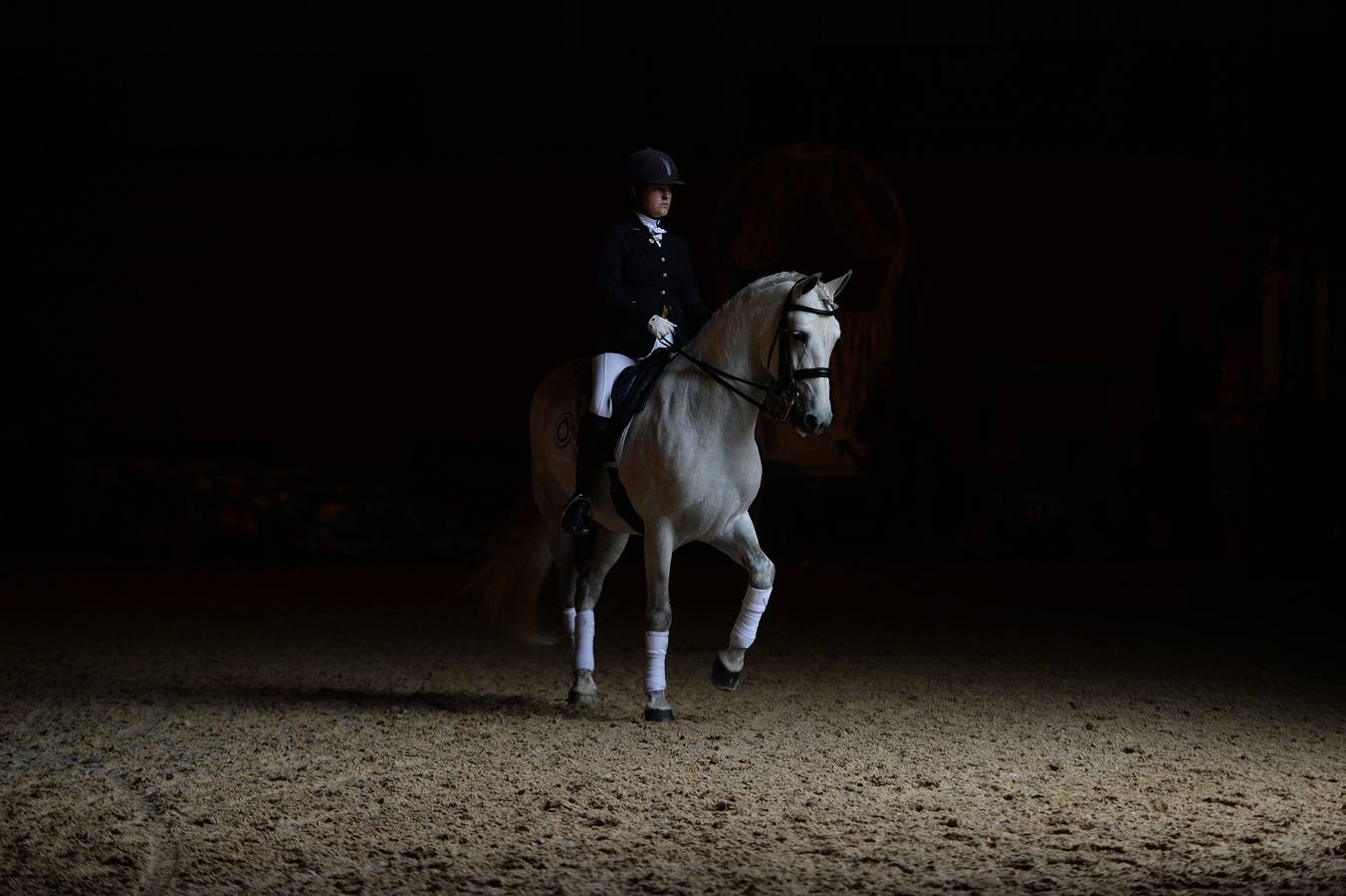 El campeonato del mundo del caballo de Pura Raza Española en SICAB 2019 (I)