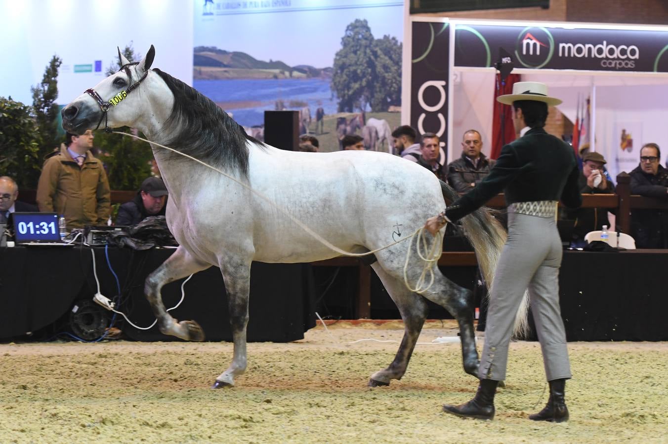 El campeonato del mundo del caballo de Pura Raza Española en SICAB 2019 (I)