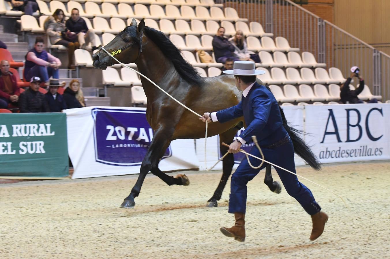 El campeonato del mundo del caballo de Pura Raza Española en SICAB 2019 (I)