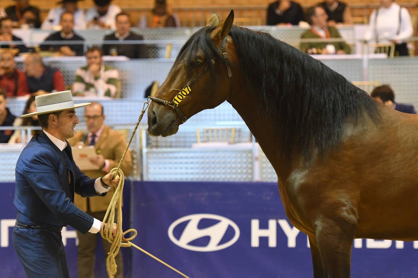 El campeonato del mundo del caballo de Pura Raza Española en SICAB 2019 (I)