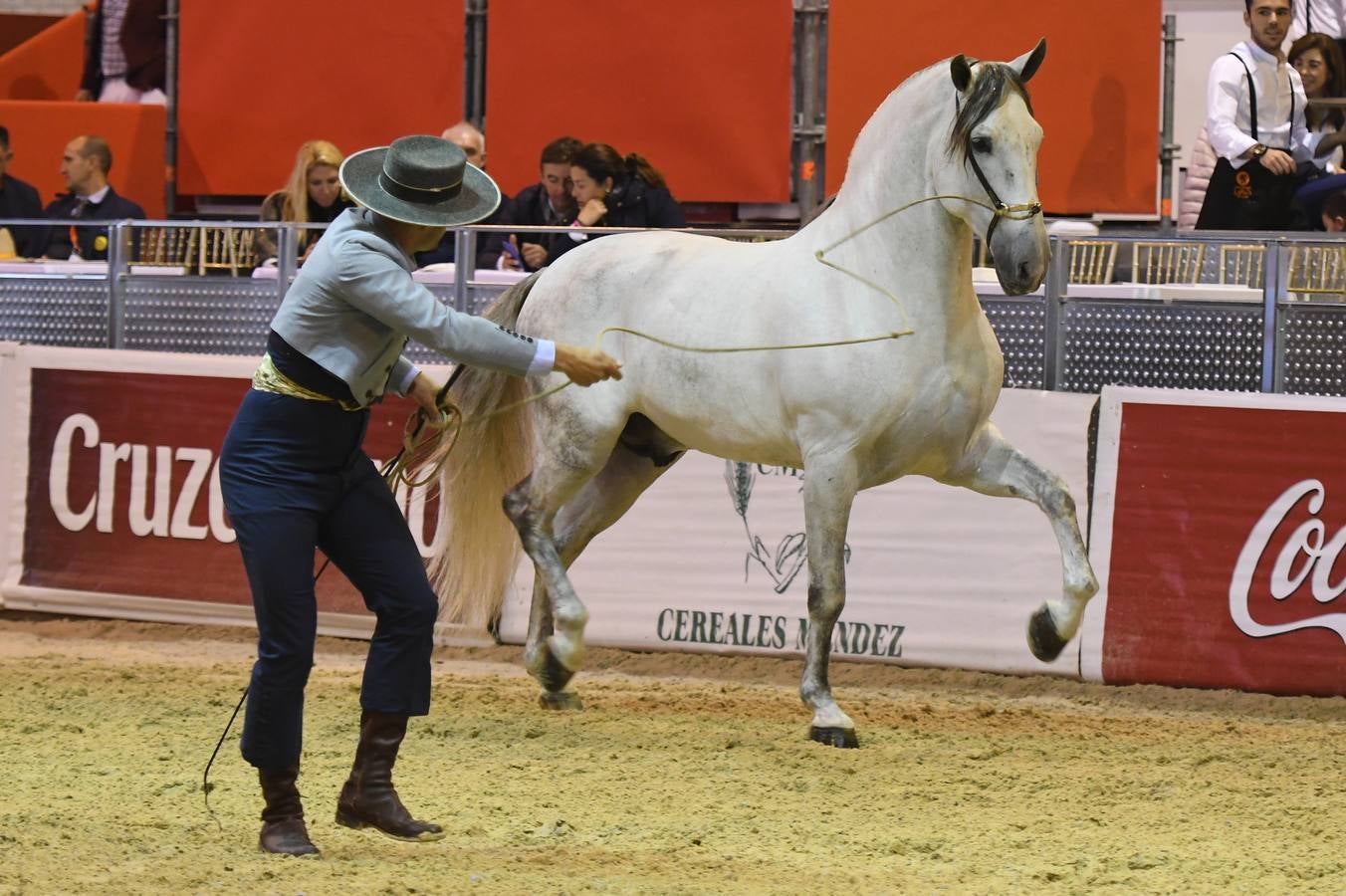 El campeonato del mundo del caballo de Pura Raza Española en SICAB 2019 (I)