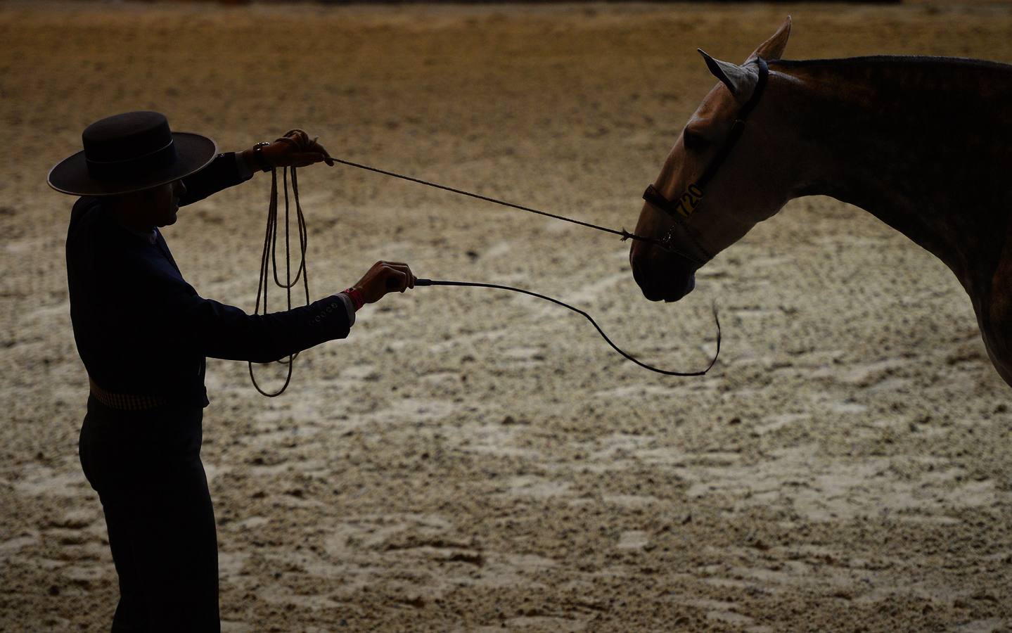 El campeonato del mundo del caballo de Pura Raza Española en SICAB 2019 (I)