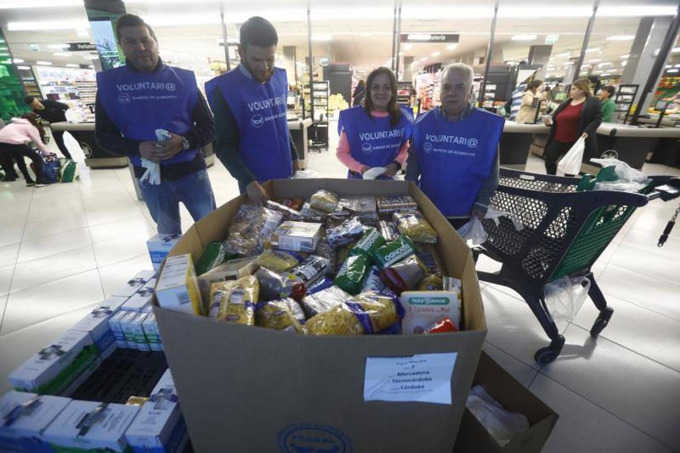 La campaña de recogida del Banco de Alimentos de Córdoba, en imágenes