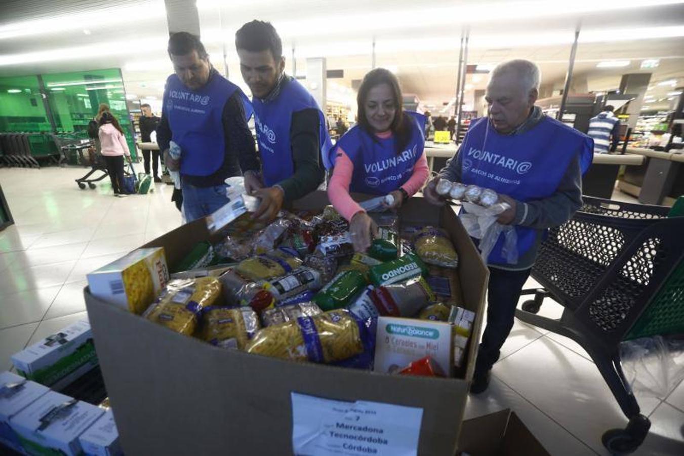 La campaña de recogida del Banco de Alimentos de Córdoba, en imágenes