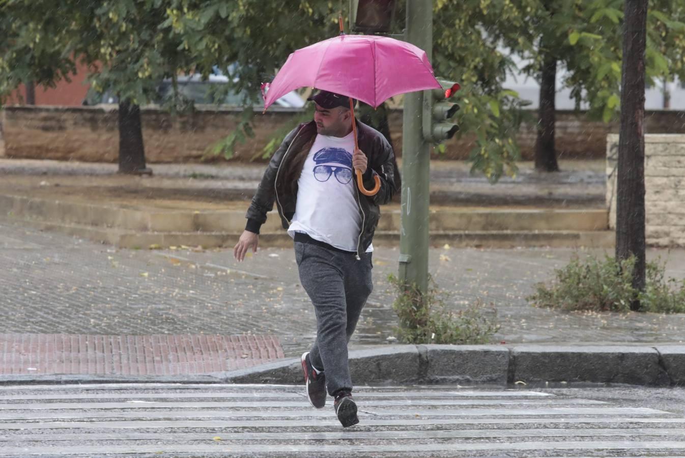 En imágenes, la lluvia del viernes en Sevilla
