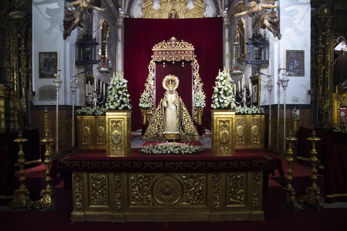 El besamanos de la Virgen de la Amargura